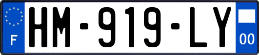 HM-919-LY