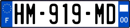 HM-919-MD