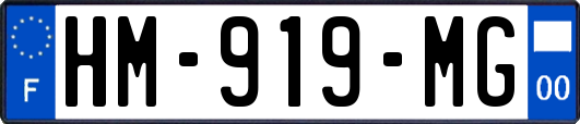 HM-919-MG
