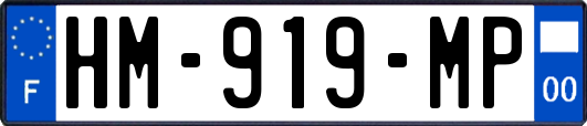 HM-919-MP
