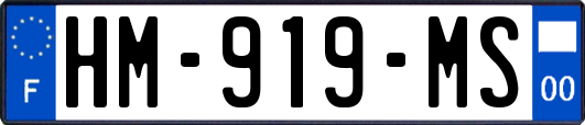 HM-919-MS