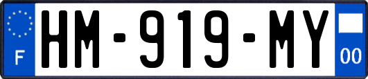 HM-919-MY