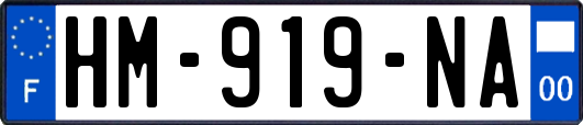 HM-919-NA