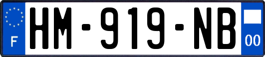 HM-919-NB