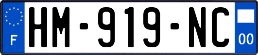 HM-919-NC