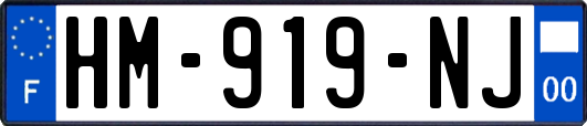 HM-919-NJ