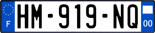 HM-919-NQ