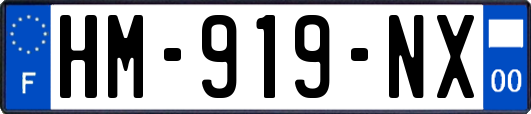 HM-919-NX