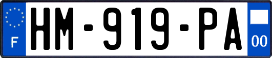 HM-919-PA