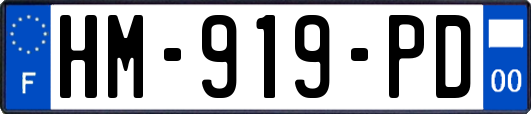 HM-919-PD