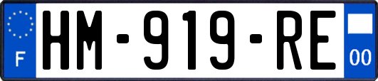 HM-919-RE