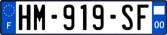 HM-919-SF