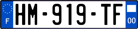 HM-919-TF