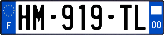 HM-919-TL