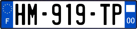 HM-919-TP