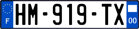 HM-919-TX