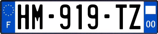 HM-919-TZ