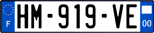 HM-919-VE
