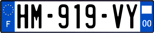HM-919-VY