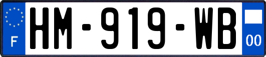 HM-919-WB