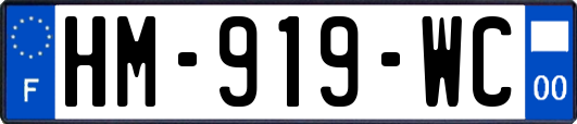 HM-919-WC