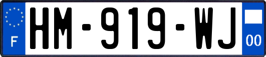 HM-919-WJ