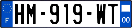 HM-919-WT