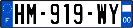 HM-919-WY
