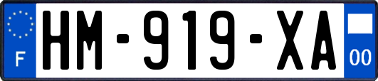 HM-919-XA