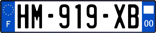 HM-919-XB