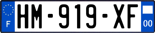 HM-919-XF