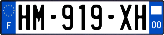 HM-919-XH