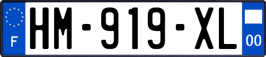 HM-919-XL