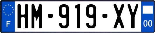 HM-919-XY