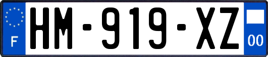 HM-919-XZ