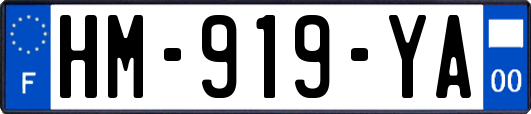 HM-919-YA