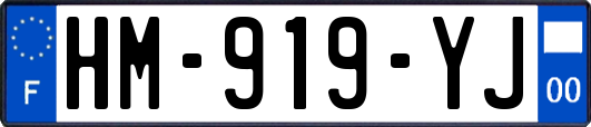HM-919-YJ