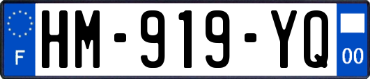HM-919-YQ