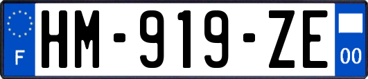 HM-919-ZE