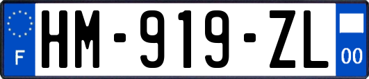 HM-919-ZL