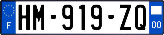 HM-919-ZQ
