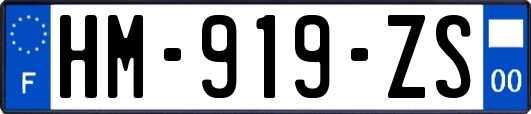 HM-919-ZS