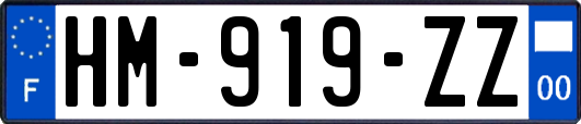 HM-919-ZZ