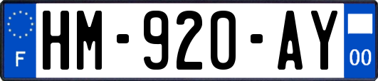 HM-920-AY