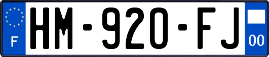 HM-920-FJ