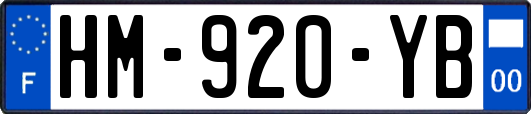 HM-920-YB