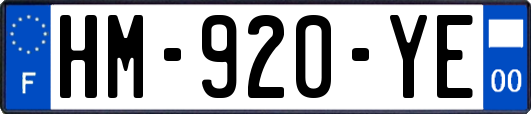 HM-920-YE