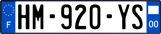 HM-920-YS