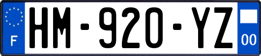 HM-920-YZ