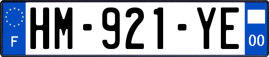HM-921-YE